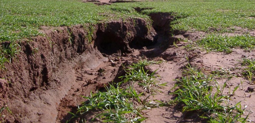 Soil Erosion Agri Tech Cornwall